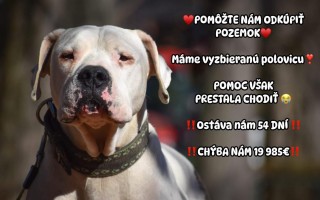 Pomôžte nám odkúpiť raj pre OZ Záchranná stanica ANIMAL a zvieratká v nej