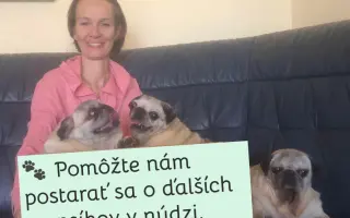 Pomôžte dať chorým mopsíkom šancu na život – MOPS v núdzi, o.z.