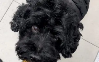 Pomôžte Kyrkovi pokračovať v liečbe vzácneho nádoru nadobličky