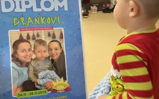 Dajme Brankovi šancu napredovať – krok po kroku, slovíčko po slovíčku