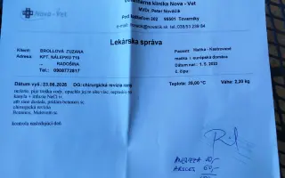 Pomôžte Zuzane zabezpečiť pomoc pre chorú mačku