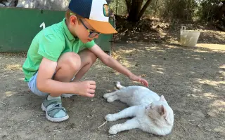 Násobíme pomoc pre Adamka – malého bojovníka s veľkým srdcom Násobíme pomoc pre Adamka – malého bojovníka s veľkým srdcom