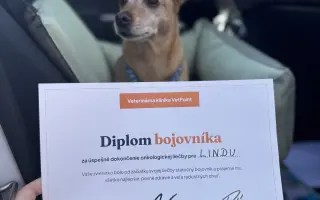 Šanca pre Lindu: Liečba, ktorá jej môže zachrániť život