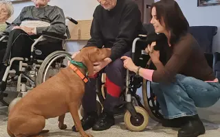 Pomôžte nám udržať  Farmu Happy - bezpečné miesto pre zvieratá