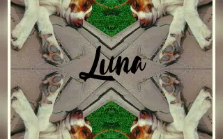 Pomôžme Lunke s liečbou zhubného nosného nádoru