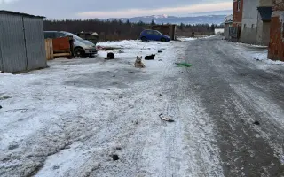 Darujte ďalší domček pre choré a nechcené zvieratá z osady