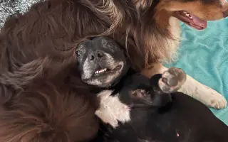 Pre Bessie, aby mohla ešte žiť naplno Pre Bessie, aby mohla ešte žiť naplno