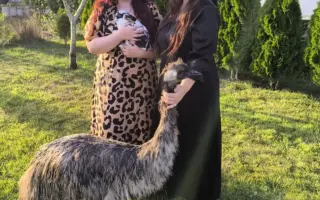 Farmička Monili : Spolu vybudujme lepšie miesto pre zvieratá