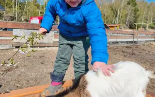 Pomôžme Dávidkovi pokračovať v ceste za pokrokmi a doprajme mu delfinoterapiu