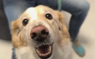 Pomôžte nám dať Dukovi šancu na ďalšie spoločné dni