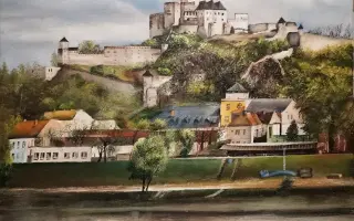 Pomôžme Zuzke získať šancu na život