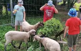 Spoločne tvoríme leto plné zážitkov pre osoby s poruchou autistického spektra