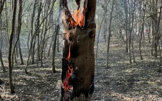 Pomôžme DHZ Devín získať termokamery na vyhľadávanie skrytých ohnísk