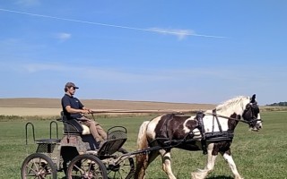 Pomôž nám splniť sen o záprahu