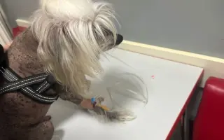 Pomôžme Rúfuskovi zabezpečiť potrebnú operáciu