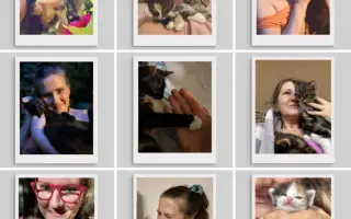 KEĎ ZVIERA (ne)MÁ HLAS - medzigeneračný projekt pre deti, seniorov a komunity
