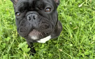 Pomôžme Teovi získať šancu na život bez bolesti