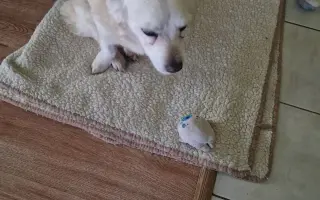 Pomôžte Johnymu v boji o zdravie