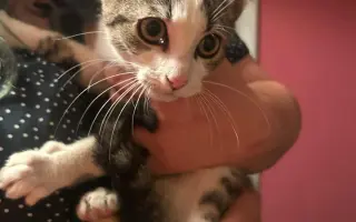 Zachráňme Miniho a dajme šancu aj tým, čo prídu po ňom Zachráňme Miniho a dajme šancu aj tým, čo prídu po ňom