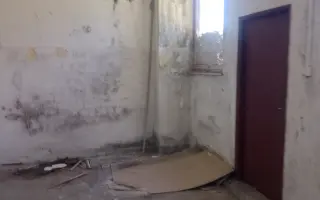 Nufky | Pomôžte nám zrekonštruovať priestory a vytvoriť pekáreň psích pamlskov