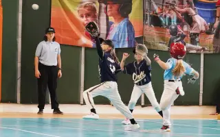 Slováci prepisujú históriu - podporme jedinečný baseballový projekt