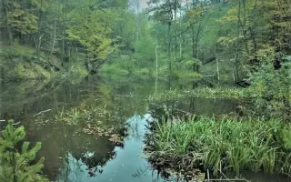 Vytvorme Ťahanovske jazierka na zadržiavanie daždovej vody