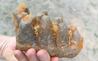 Pomôžte nám cestovať v čase a lepšie spoznať Slovensko spred 2,5 miliónov rokov