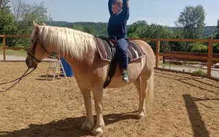 Pomôžme Dávidkovi pokračovať v ceste za pokrokmi a doprajme mu delfinoterapiu