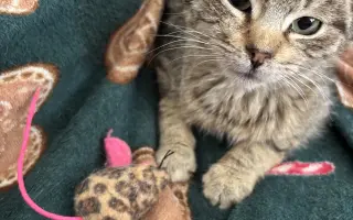 Pomôžme malému Oskarkovi znovu sa postaviť na labky