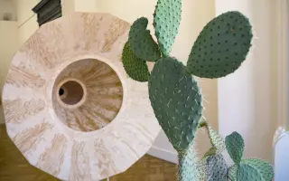 Podporte vydanie LP platne Ota Hudeca Songs for the Prickly Pear