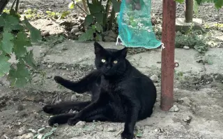 Pomôžte nám dlhodobo pomáhať pouličníkom
