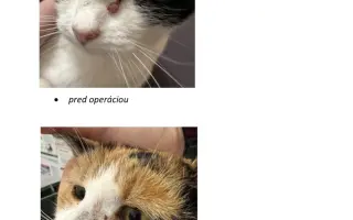 Zachráňme Sašenku bojujúcu s tumorom mäkkých tkanív