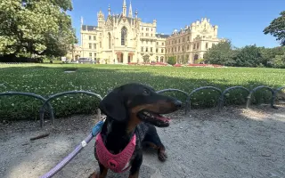 Pomôžte malej Sosi opraviť chrbátik