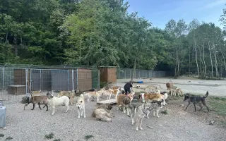 Pomôžte nám v ďalšej fáze budovania CPZ