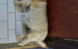 Pomôžme Lusynke znovu voľne dýchať