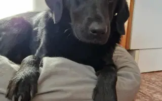 Stará chalúpka sa stala útočiskom pre tých, čo nevedia prosiť o pomoc