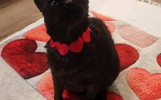 Laruška bojuje o život – pomôžme jej zvíťaziť nad bolesťou