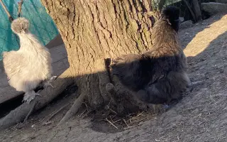 Pomôžte nám vybudováť farmu pre verejnosť