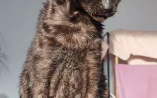 Laruška bojuje o život – pomôžme jej zvíťaziť nad bolesťou