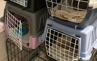 Pomôžme Vlaďke postaviť domov pre handicapované holuby