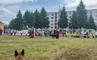 Pomôžme záchranárskemu psíkovi Qvídovi