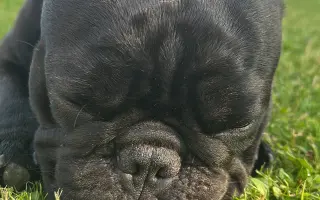 Pomôžme Teovi získať šancu na život bez bolesti