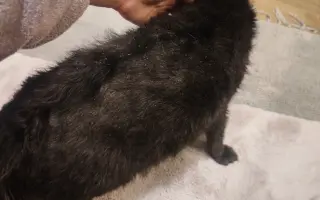 Laruška bojuje o život – pomôžme jej zvíťaziť nad bolesťou