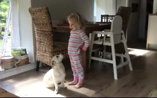 Pomôžme Penny postaviť sa po zrážke s autom opäť na všetky labky