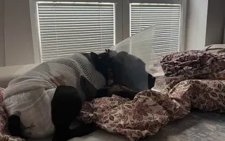 Pre Bessie, aby mohla ešte žiť naplno