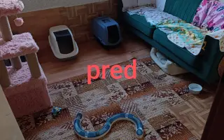 Pomohli ste zrekonštruovať azyl pre hendikepované a zachránené mačky
