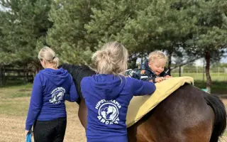 Dôstojný domov pre tichých terapeutov - liečia a menia sny