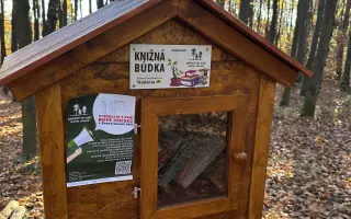 Vybudujte s nami nové ihrisko v Borovicovom háji