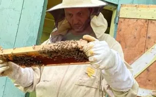 Staňte sa súčasťou príbehu Michalove včely