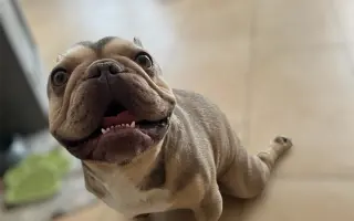 Pomôžme Dionkovi znovu chodiť